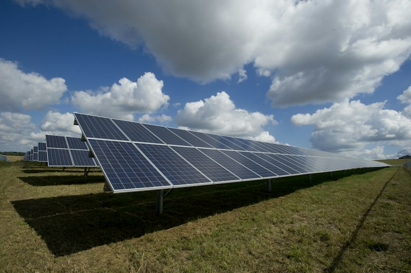 Solar panels field at sunset