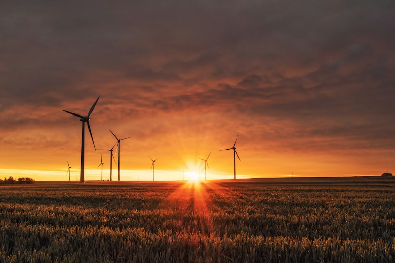 Wind turbines on green hills